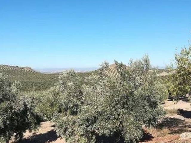 Terreno en venta en Albacete, Castilla-La Mancha