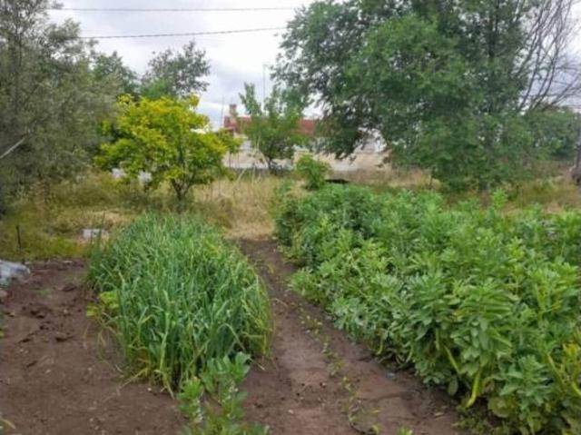 Terreno en venta en Albacete, Castilla-La Mancha