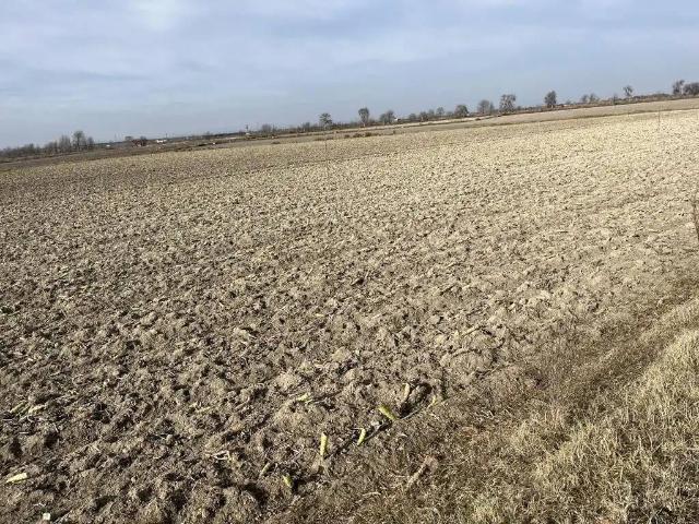 Terreno en venta en Albacete, Castilla-La Mancha