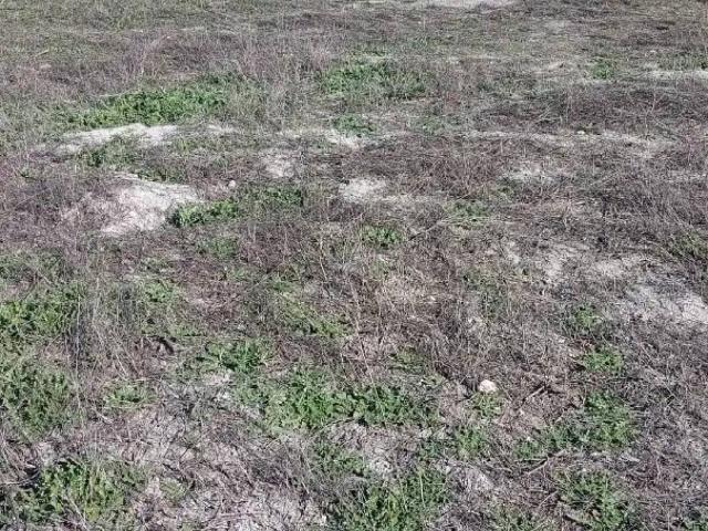 Terreno en venta en Albacete, Castilla-La Mancha