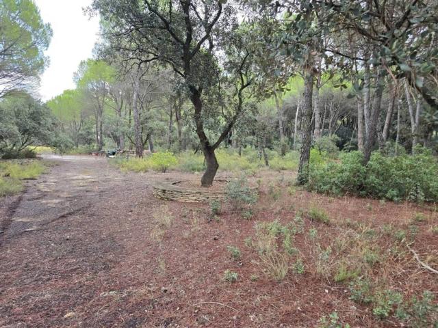 Terreno en venta en Albacete, Castilla-La Mancha