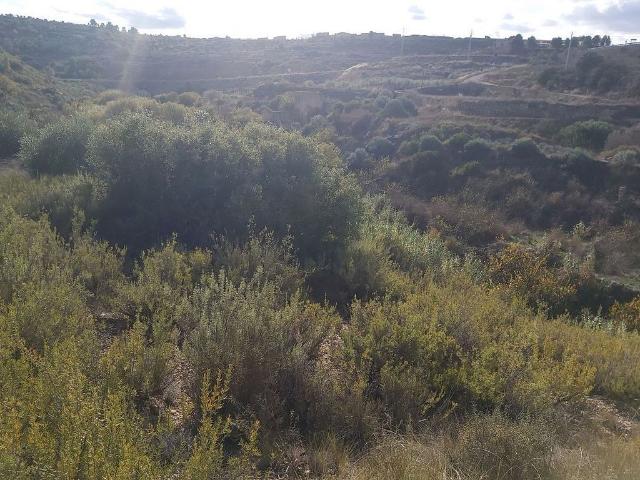Terreno en venta en Garrigues, Catalunya