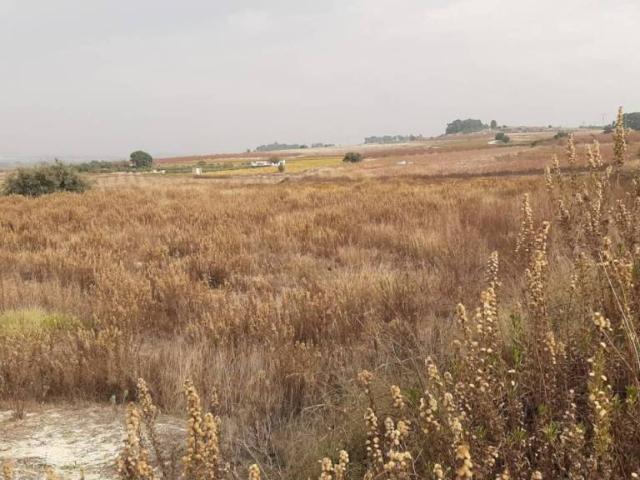 Terreno en venta en la Vall d'Albaida, Valencia