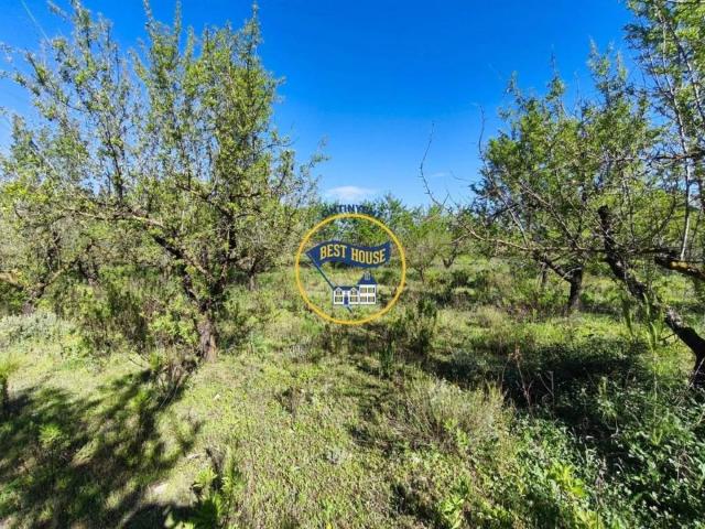 Terreno en venta en la Vall d'Albaida, Valencia