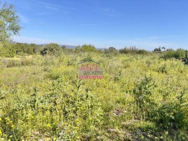 Terreno en venta en la Vall d'Albaida, Valencia