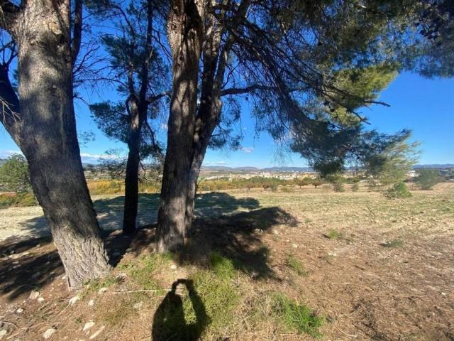 Terreno en venta en la Vall d'Albaida, Valencia