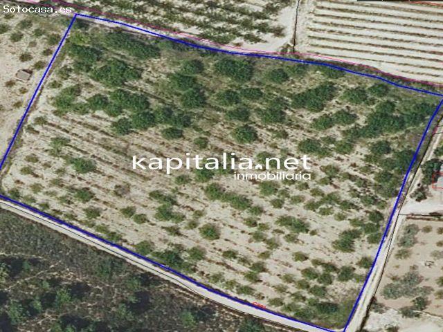Local Comercial en venta en l'Aljorf, la Vall d'Albaida