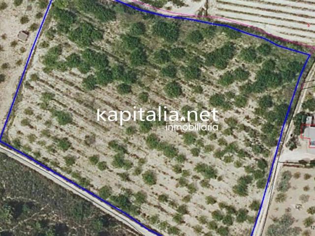 Terreno en venta en la Vall d'Albaida, Valencia