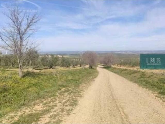 Terreno en venta en Albaida Del Aljarafe, Sevilla