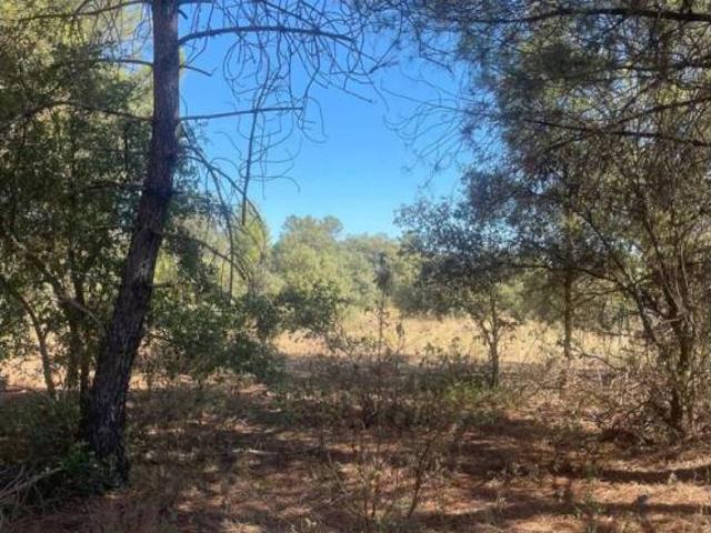 Terreno en venta en Albaladejo Del Cuende