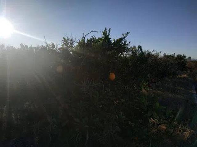 Terreno en venta en la Ribera Baixa, Valencia