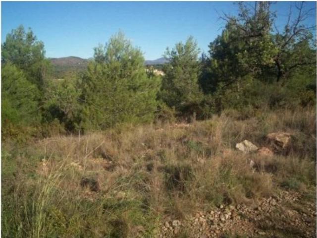 Terreno en venta en el Camp de Morvedre, Valencia