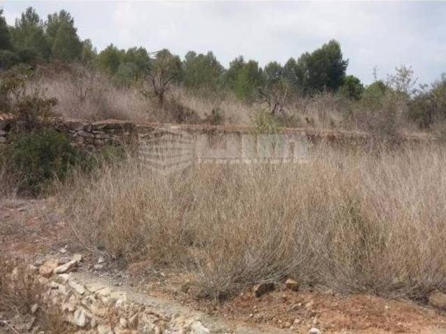 Terreno en venta en el Camp de Morvedre, Valencia