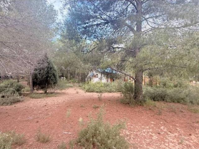 Terreno en venta en el Camp de Morvedre, Valencia