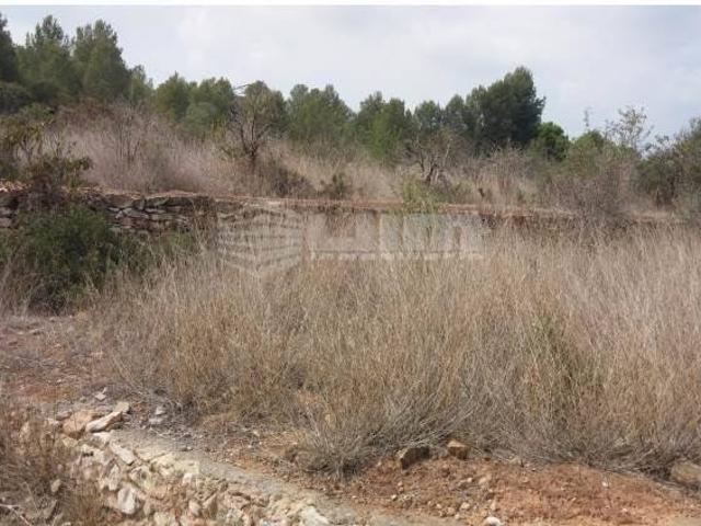 Terreno en venta en el Camp de Morvedre, Valencia