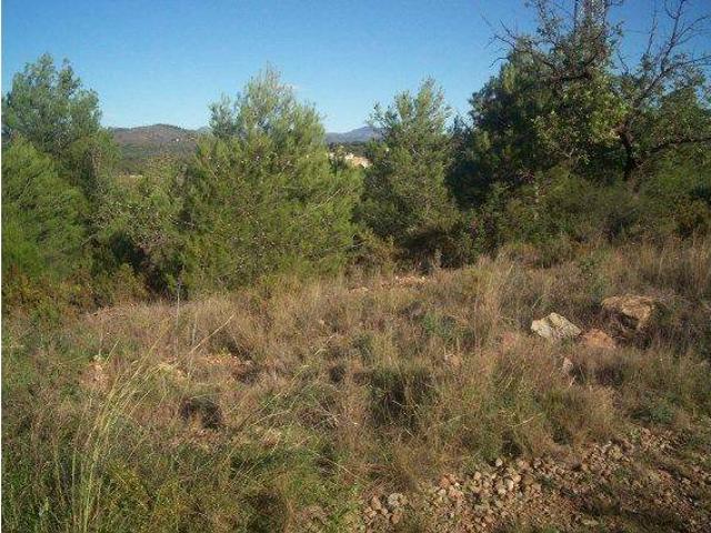 Terreno en venta en el Camp de Morvedre, Valencia
