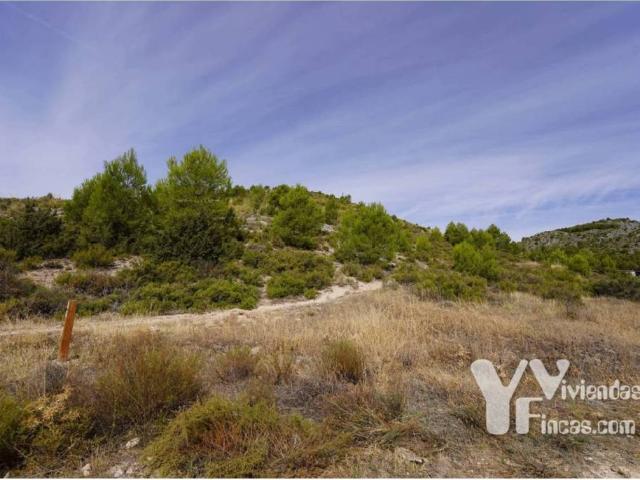 Terreno en venta en Albalate De Zorita, Nueva Sierra de Altomira