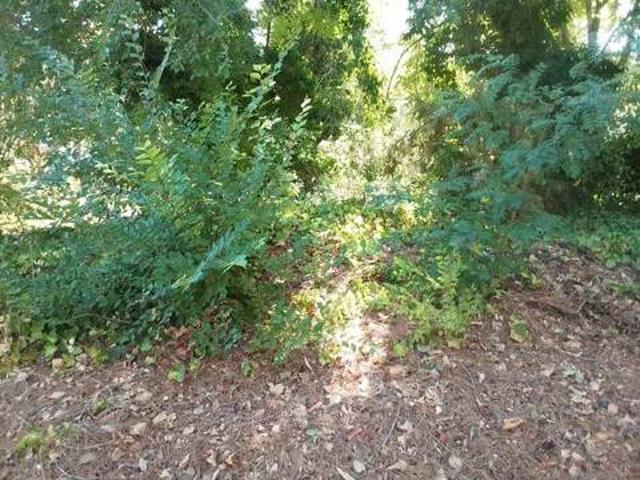 Terreno en venta en Albalate de Zorita, Guadalajara