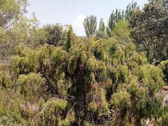 Terreno en venta en Nueva Sierra de Altomira, Albalate de Zorita