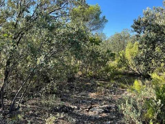 Terreno en venta en Albalate De Zorita, Castilla-La Mancha