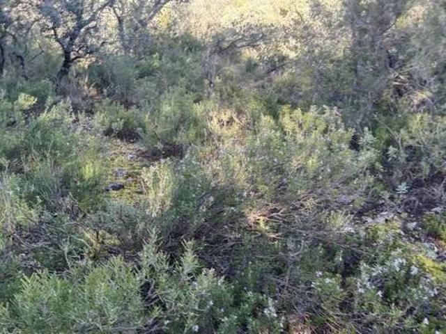 Terreno en venta en Albalate De Zorita, Castilla-La Mancha
