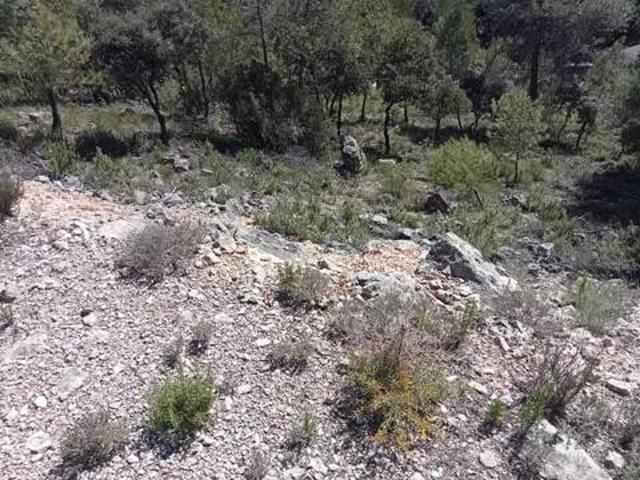 Terreno en venta en Nueva Sierra de Altomira, Albalate De Zorita