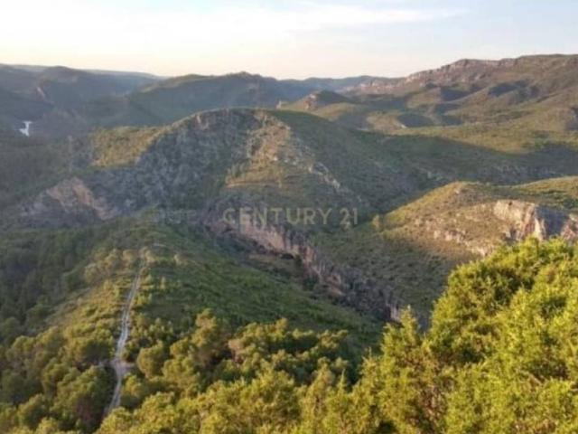 Terreno en venta en Albalate De Zorita, Castilla-La Mancha
