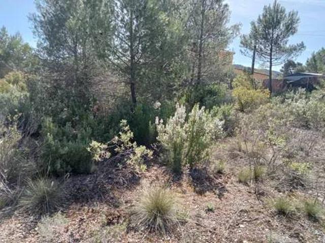 Terreno en venta en Albalate De Zorita, Castilla-La Mancha