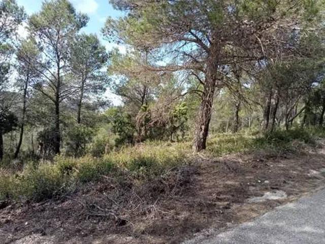 Terreno en venta en Albalate De Zorita, Castilla-La Mancha