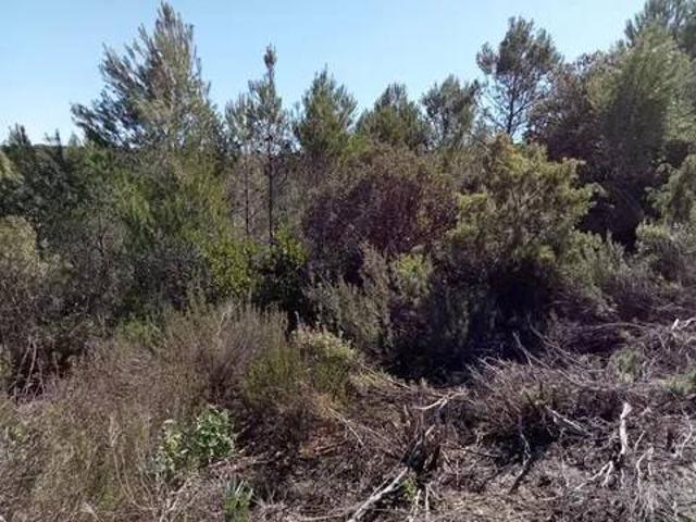 Terreno en venta en Albalate De Zorita, Castilla-La Mancha