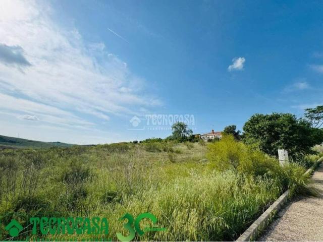 Terreno en venta en Albarreal De Tajo, Castilla-La Mancha