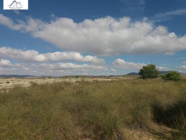 Terreno en venta en Albatana, Albacete