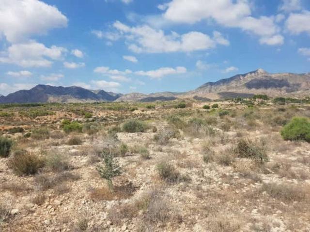 Terreno en venta en el Baix Segura / La Vega Baja, Valencia
