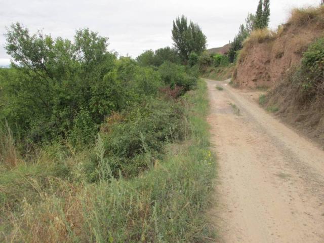 Terreno en venta en Albelda De Iregua, La Rioja