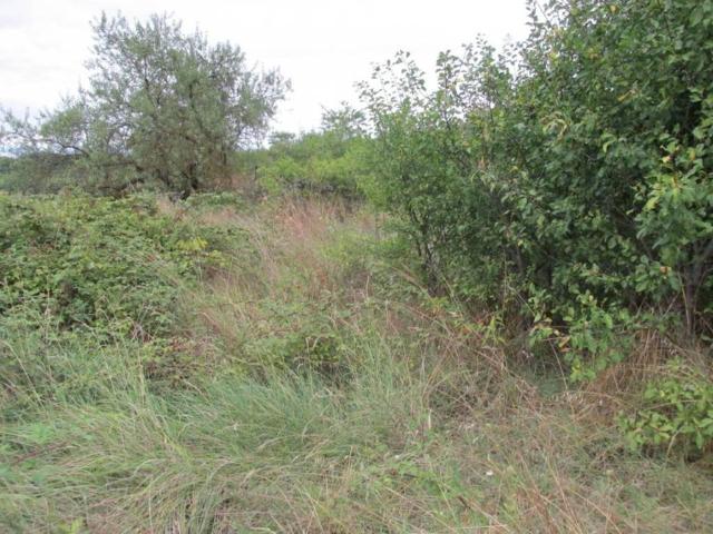 Terreno en venta en Albelda De Iregua, La Rioja