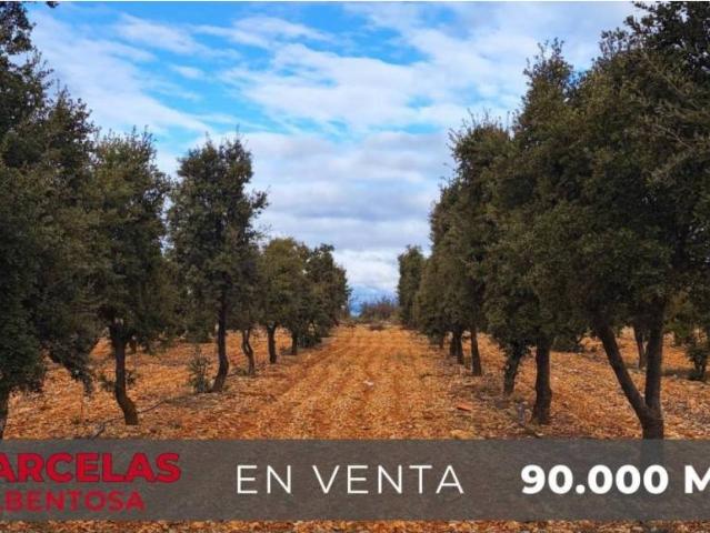Terreno en venta en Gúdar-Javalambre, Aragón