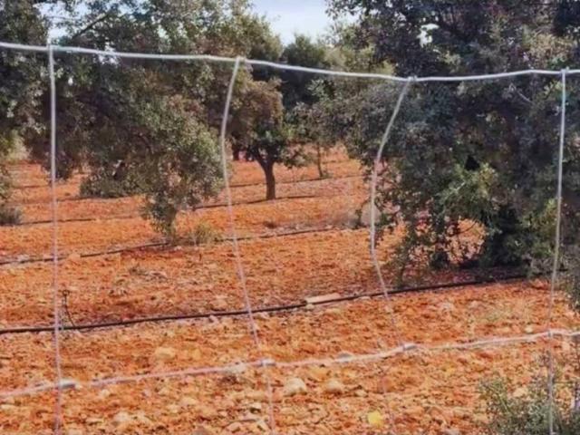 Terreno en venta en Gúdar-Javalambre, Aragón
