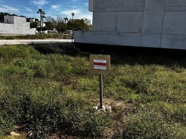 Terreno en venta en la Ribera Alta, Valencia
