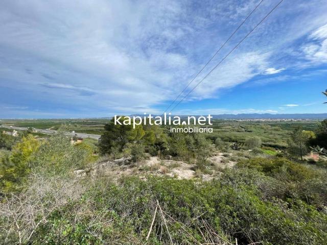Terreno en venta en la Ribera Alta, Valencia