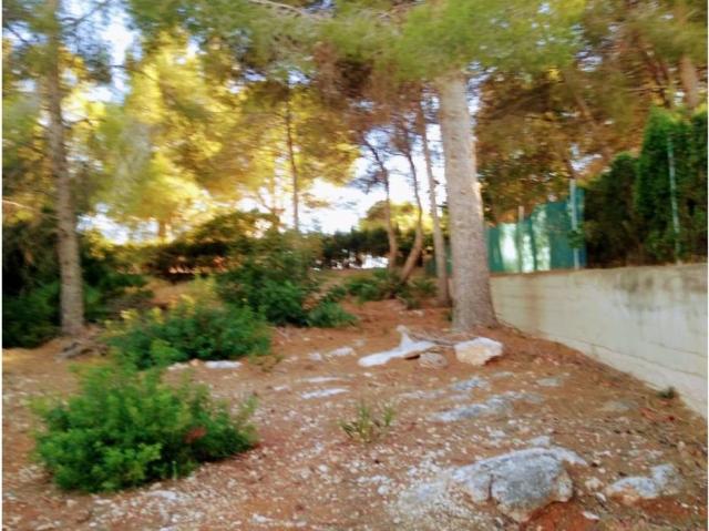 Terreno en venta en la Ribera Alta, Valencia