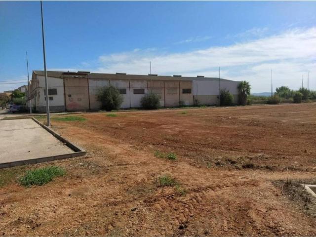 Terreno en venta en la Ribera Alta, Valencia