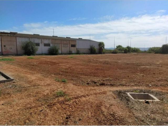 Terreno en venta en la Ribera Alta, Valencia