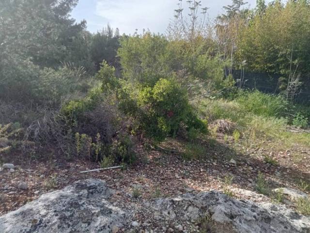 Terreno en venta en la Ribera Alta, Valencia