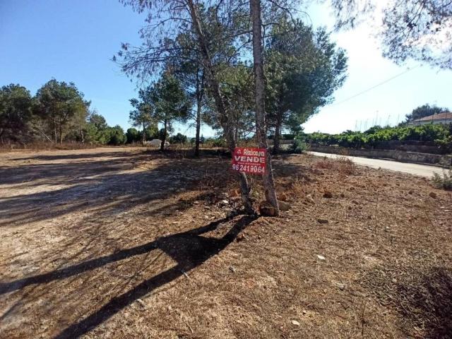 Terreno en venta en la Ribera Alta, Valencia