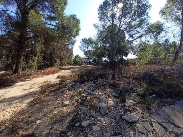 Terreno en venta en la Ribera Alta, Valencia