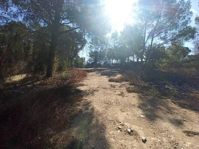 Terreno en venta en la Ribera Alta, Valencia