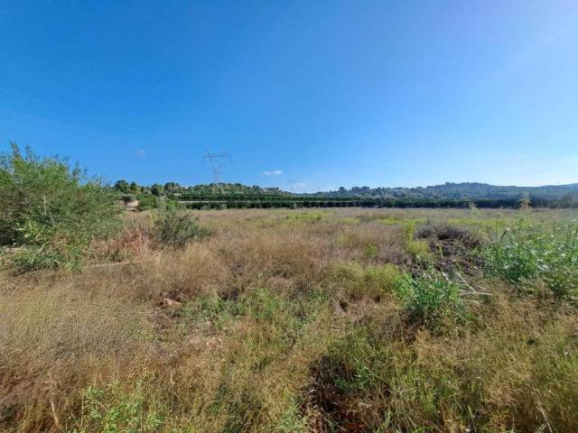 Terreno en venta en la Ribera Alta, Valencia