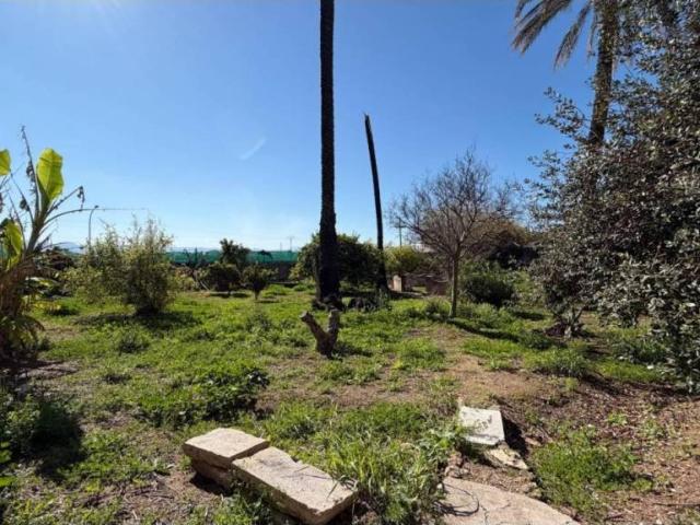 Terreno en venta en la Ribera Alta, Valencia