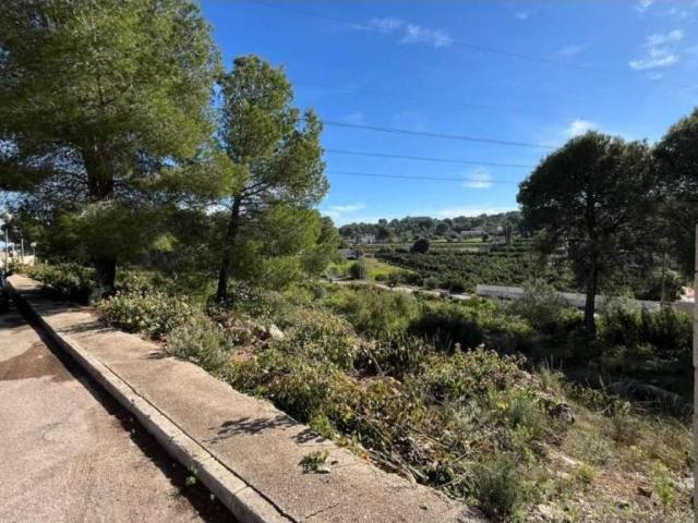 Terreno en venta en la Ribera Alta, Valencia