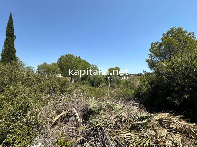 Terreno en venta en la Ribera Alta, Valencia
